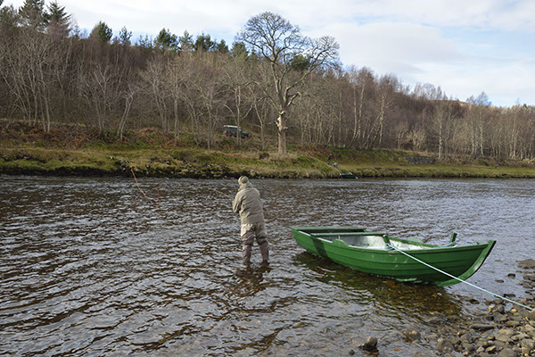 Double Spey 12