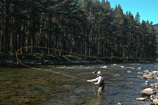 Fishing R Dee