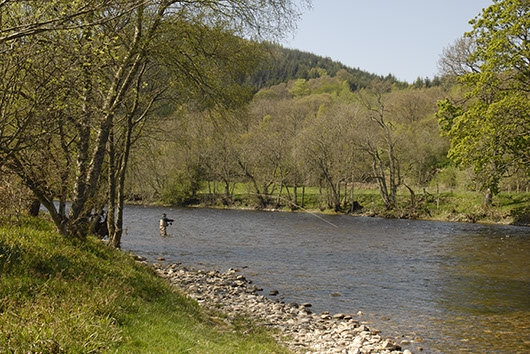 Fishing R Tay