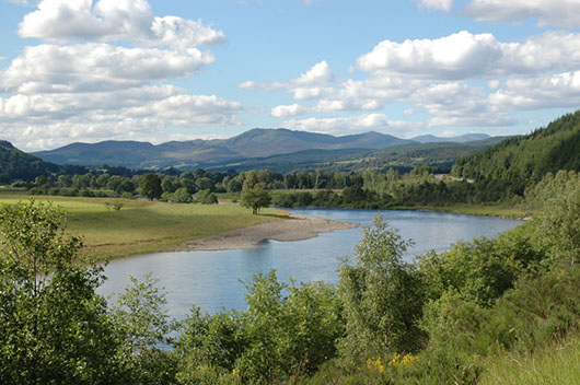 R Tay Dalmarnock