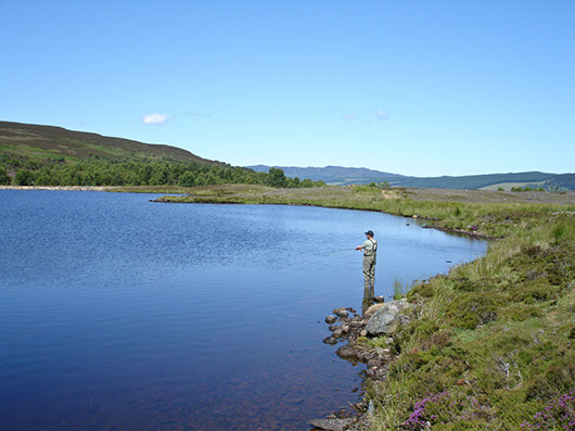 Mill Dam